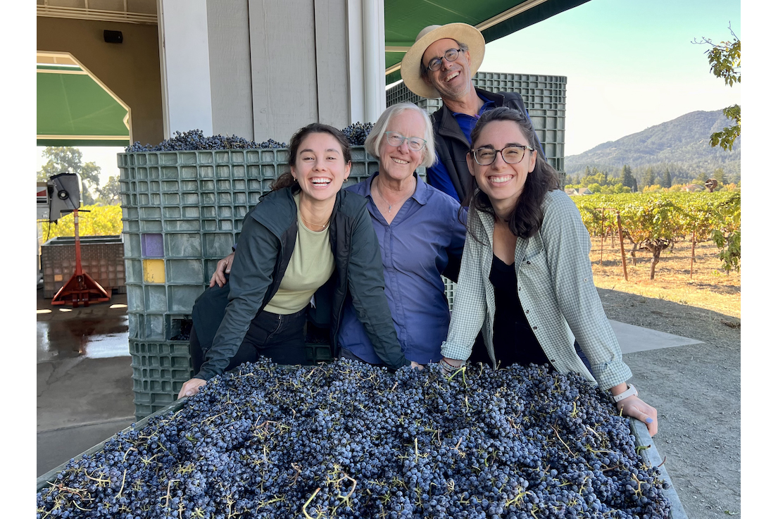 Cathy Corison, William Martin, Rose Corison Martin and Grace Corison Martin pose by a bin of Cabernet Sauvignon grapes just harvested