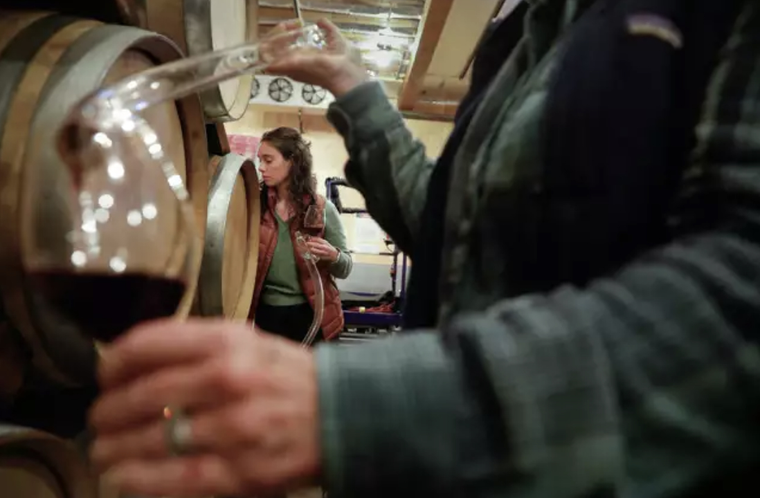 Grace Corison Martin with a barrel sample, viewed through the arms of Cathy Corison as she pulls a wine sample from a barrel.